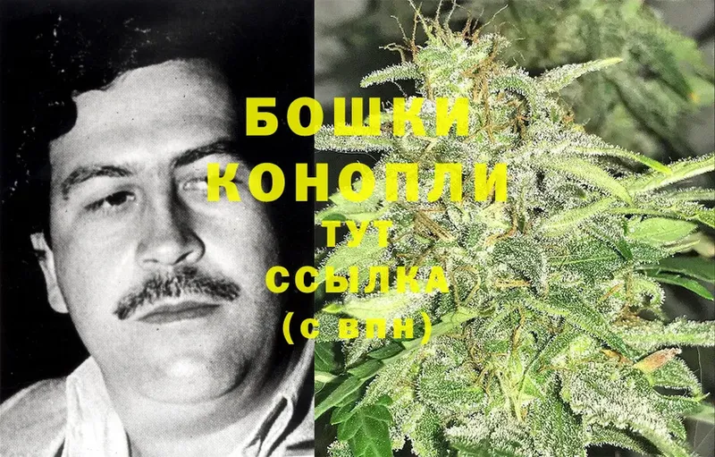 Шишки марихуана THC 21%  наркошоп  Венёв 